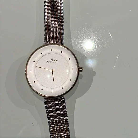 - Skagen Denmark Two Toned Silvertone and Goldtone Large White Faced Watch - Picture 3 of 5